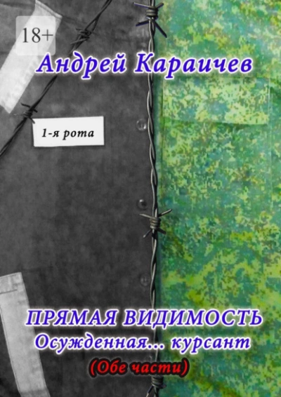 Прямая видимость - Андрей Караичев »