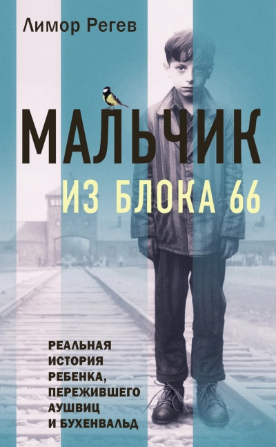 Валахия. Рекрут. - Александр Зелёный