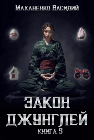 Целитель. Книга четвертая - Андрей Евгеньевич Первухин
