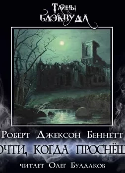Разбитая надежда - Девни Перри