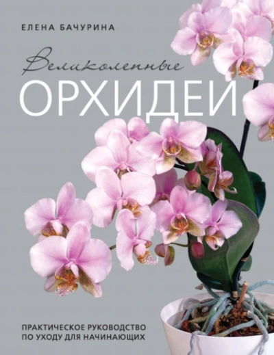 Клинковых деревьев край - Артемис Мантикор