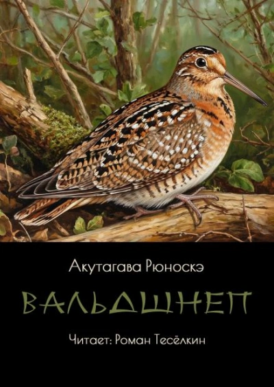 Вальдшнеп - Рюноскэ Акутагава