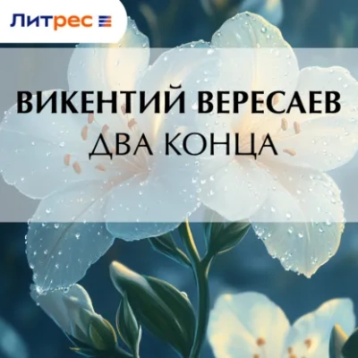 Два конца - Викентий Вересаев